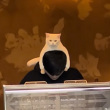 ͷ��