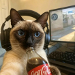 ͷ��