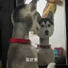 ͷ