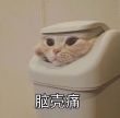 ͷ��