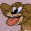 ͷ
