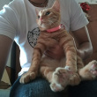 ͷ��