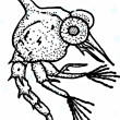 ͷ