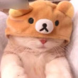 ͷ��