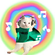 ͷ