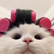 ͷ