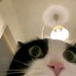 ͷ��
