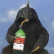 ͷ��