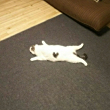 ͷ