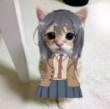 ͷ��