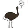 ͷ