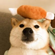 ͷ