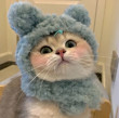 ͷ