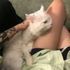 ͷ��