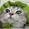 ͷ