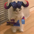 ͷ��