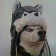 ͷ