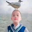 ͷ��