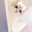 ͷ