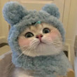 ͷ