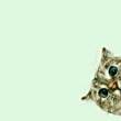 ͷ