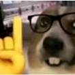 ͷ