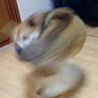 ͷ