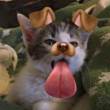 ͷ