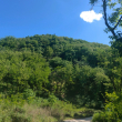 ͷ��