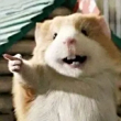 ͷ