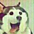 ͷ