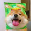 ͷ��