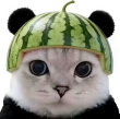 ͷ��