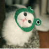 ͷ��