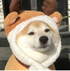 ͷ��