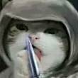 ͷ