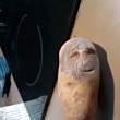 ͷ