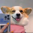 ͷ��