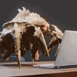 ͷ