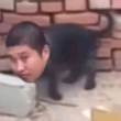 ͷ