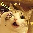 ͷ
