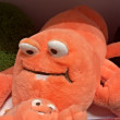 ͷ