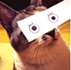 ͷ