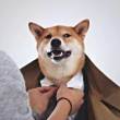 ͷ