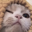 ͷ