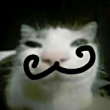 ͷ