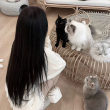 ͷ��