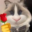 ͷ��