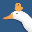 ͷ��