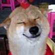 ͷ